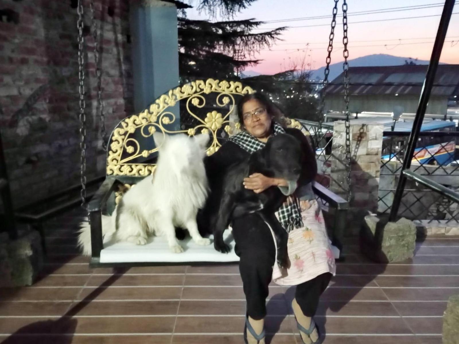 Mehra Cottage Almora Room photo